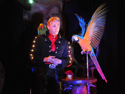 Hervé Listeur magicien et ses perroquets, dressage